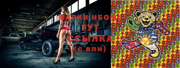 стаф Волосово