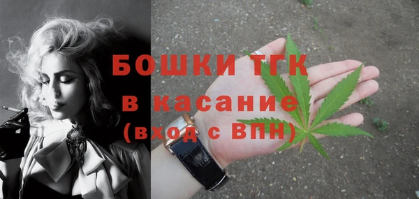 стаф Волосово